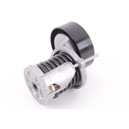 Ensemble tendeur - Pièces d'origine VW/Audi 038903315AN Ensemble tendeur - Pièces d'origine VW/Audi 038903315AN