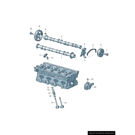 Suiveur de came de pompe à carburant - Pièces d'origine VW/Audi 06D109309C Suiveur de came de pompe à carburant - Pièces d'origine VW/Audi 06D109309C