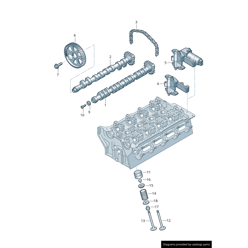 Pignon d'arbre à cames - Pièces d'origine VW/Audi 06B109111