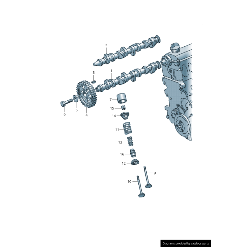 Pignon d'arbre à cames - Pièces d'origine VW/Audi 049109111C