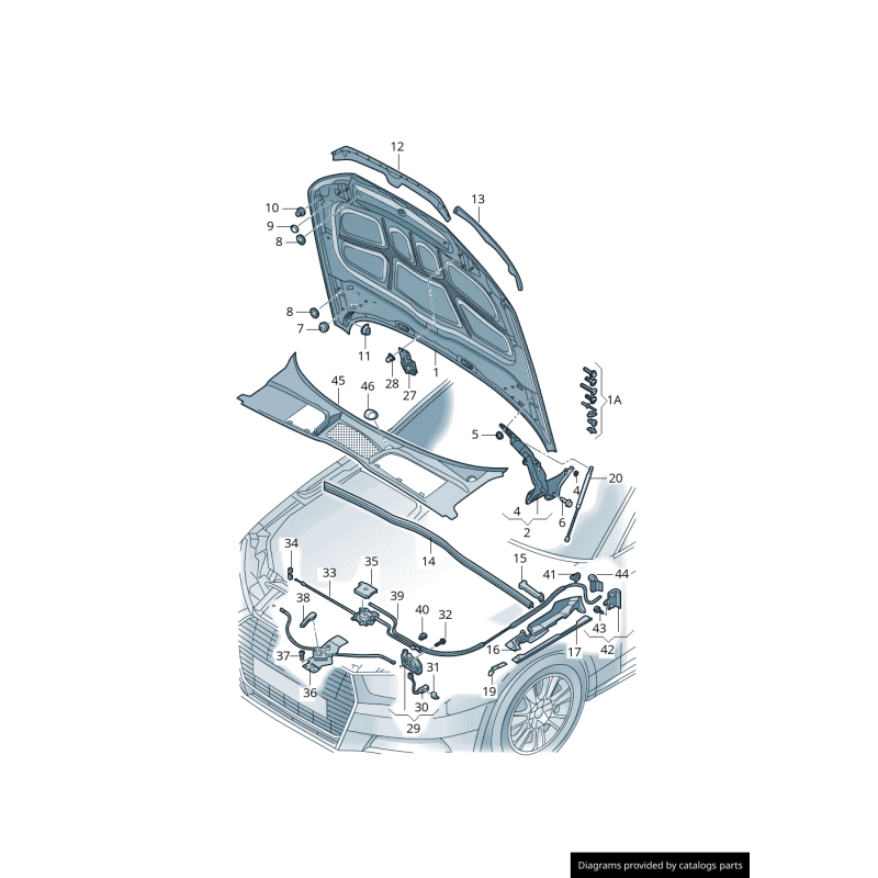 Couverture de centre de protection d'impact - Pièces d'origine Audi 8W0823124