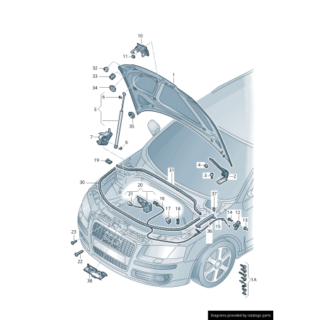 Câble de libération de capot noir LHD - Pièces d'origine Audi 8P1823531G Câble de libération de capot noir LHD - Pièces d'origine Audi 8P1823531G
