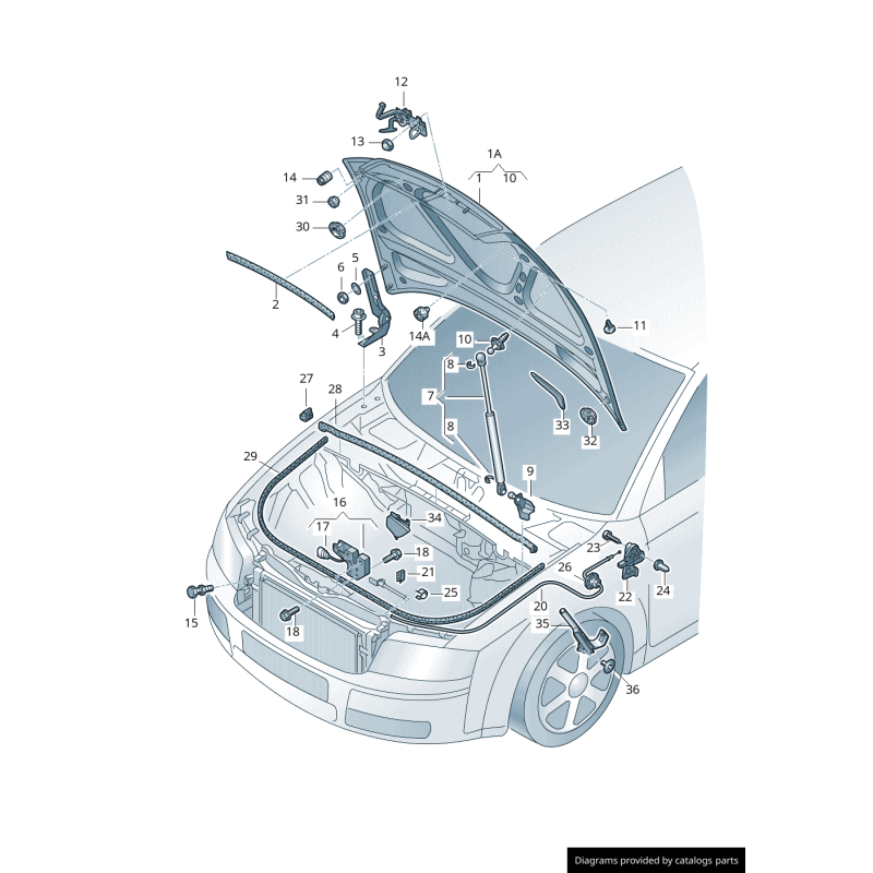 Câble de déverrouillage de capot noir Rhd 1730mm - Pièces d'origine Audi 8E2823531G