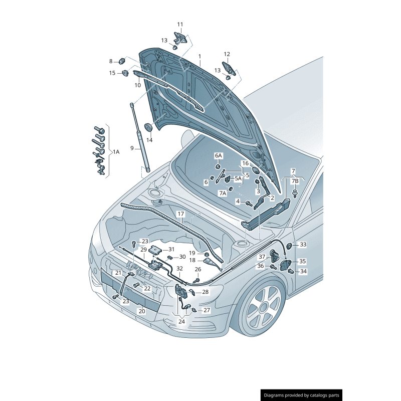 Verrou de sécurité de capot gauche Sportback - Authentique 8V0823185C