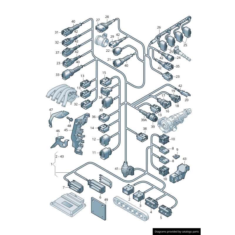 Conduit de faisceau de câblage rouge - Pièces d'origine Audi 8E0971824S