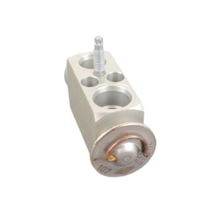 Soupape d'expansion de climatisation - Pièce d'origine BMW 64116921051