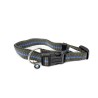 Collier pour chien actif - Pièce d'origine BMW 80232446021 Collier pour chien actif - Pièce d'origine BMW 80232446021