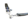 Laisse pour chien actif - Pièce d'origine BMW 80232446022 Laisse pour chien actif - Pièce d'origine BMW 80232446022