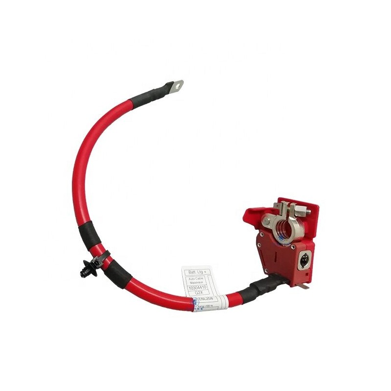 Câble de batterie pôle positif - Pièce d'origine BMW 61128796155 Câble de batterie pôle positif - Pièce d'origine BMW 61128796155