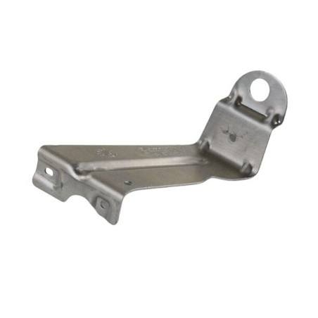 Support gauche - Pièce d'origine BMW 51757213677