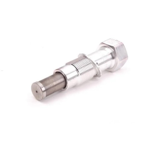 Tendeur de chaîne avec joint d'étanchéité - Pièce d'origine BMW 11317584723