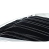 Grille de rein du pack compétition - Pièce d'origine BMW 51138057223 Grille de rein du pack compétition - Pièce d'origine BMW 51138057223
