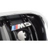 Grille de rein du pack compétition - Pièce d'origine BMW 51138057229 Grille de rein du pack compétition - Pièce d'origine BMW 51138057229