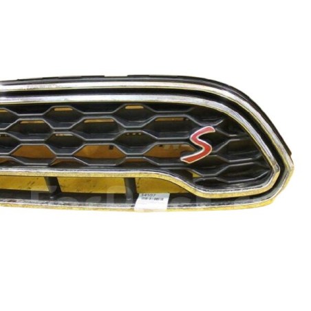 Grille décorative de capot - Pièce d'origine BMW 51137456604 Grille décorative de capot - Pièce d'origine BMW 51137456604