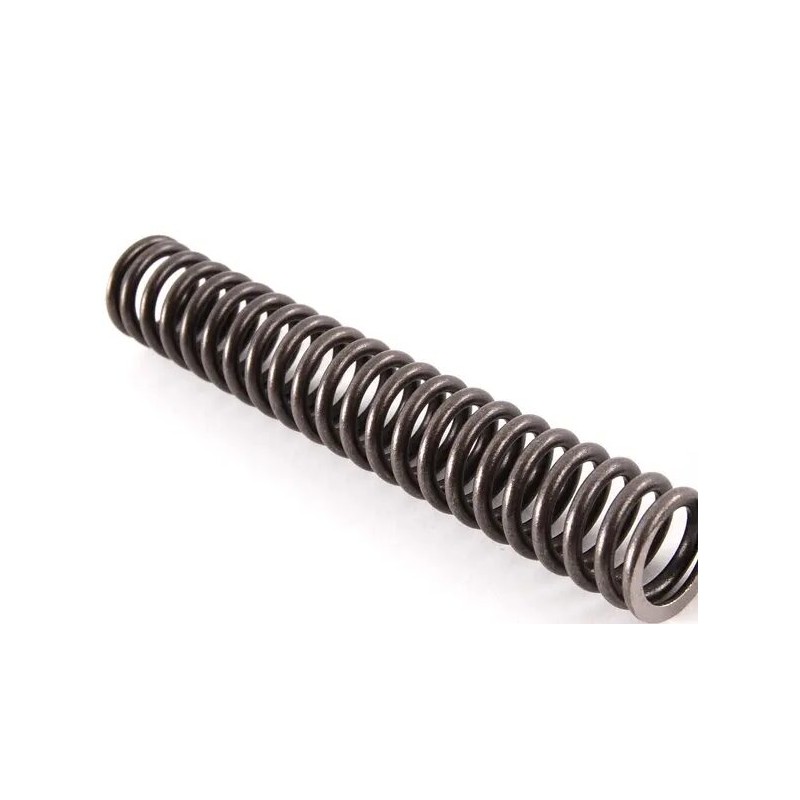 Ressort de tendeur de chaîne de moteur - Pièce d'origine BMW 11411706809