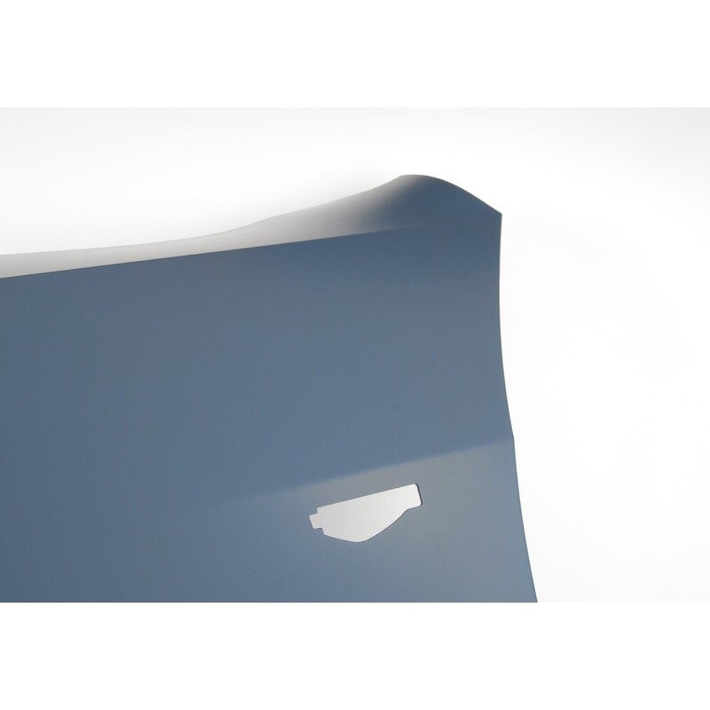 Aile avant gauche - Pièce d'origine BMW 51657222991