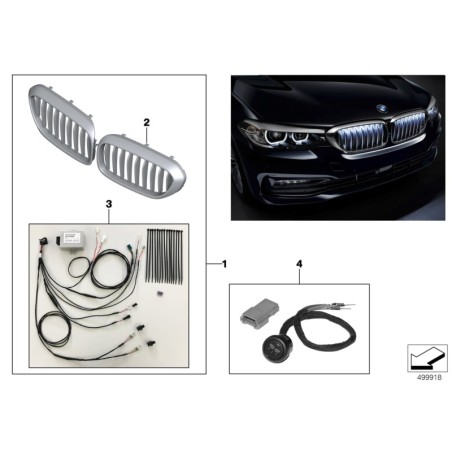 Grille ornementale avant - Pièce d'origine BMW 63172466430