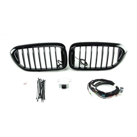 Grille ornementale avant - Pièce d'origine BMW 63172466465