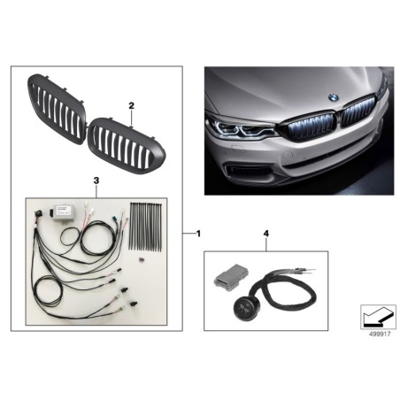 Grille ornementale avant - Pièce d'origine BMW 63172466465