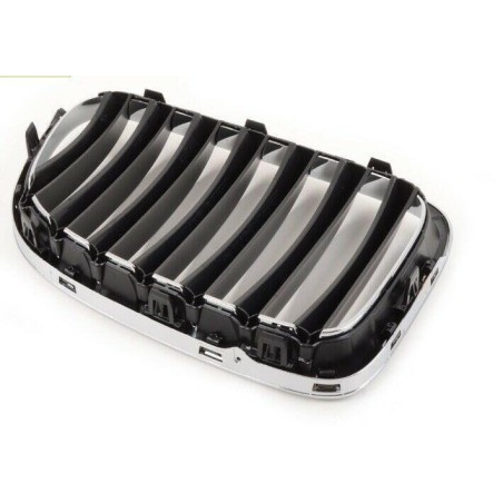 Ensemble avant de grilles de rein gauche droite - Pièce d'origine BMW 51117347667