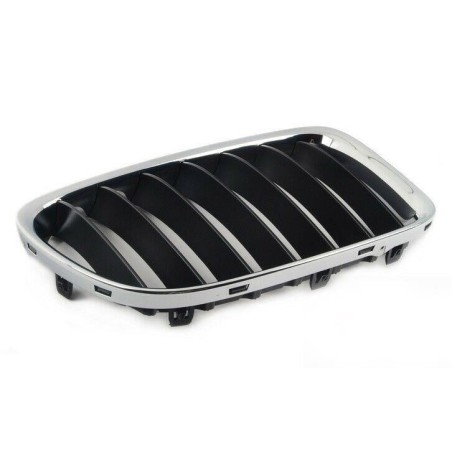 Ensemble avant de grilles de rein gauche droite - Pièce d'origine BMW 51117347667