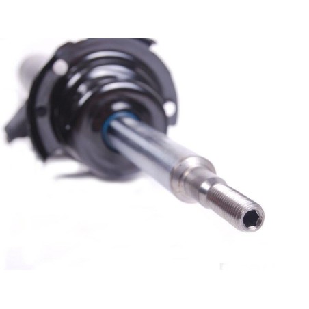 Ensemble de jambe de force avant gauche - Pièce d'origine BMW 31316796155