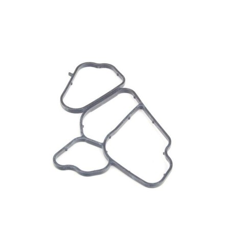 Joint de filtre à huile du boîtier au bloc - Pièce d'origine BMW 11427788455