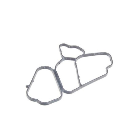 Joint de filtre à huile du boîtier au bloc - Pièce d'origine BMW 11427788455