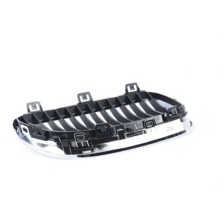 Grille Cadre Chrome et Grille - Pièce d'origine BMW 51137254969