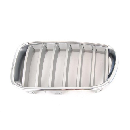 Grille avant gauche Titan - Pièce d'origine BMW 51117237421 Grille avant gauche Titan - Pièce d'origine BMW 51117237421