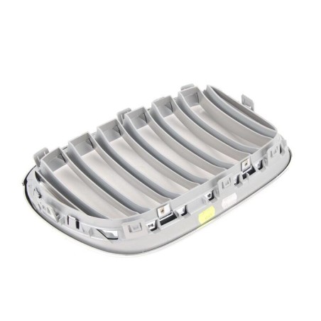 Grille avant gauche Titan - Pièce d'origine BMW 51117237421 Grille avant gauche Titan - Pièce d'origine BMW 51117237421