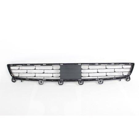 Grille Centrale Inférieure - Pièce d'origine BMW 51117325481 Grille Centrale Inférieure - Pièce d'origine BMW 51117325481