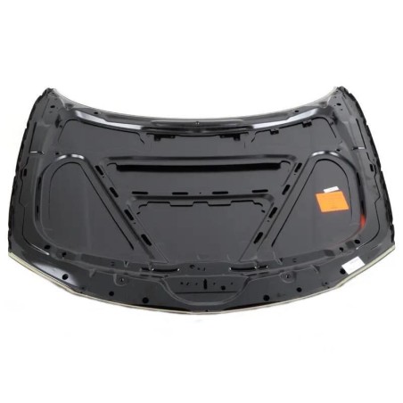 Capot - Pièce d'origine BMW 41007381758