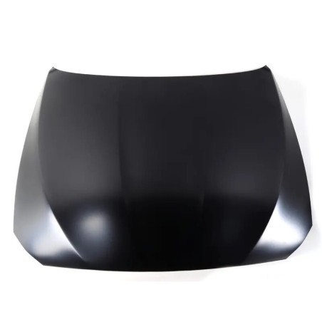 Capot - Pièce d'origine BMW 41617207194
