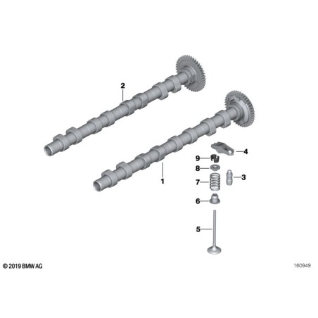 Tappet hydraulique - Pièce d'origine BMW 11332249817