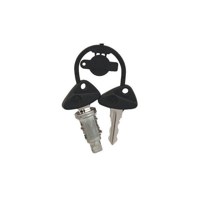 Cylindre de verrouillage avec clé - Pièce d'origine BMW 51252313284