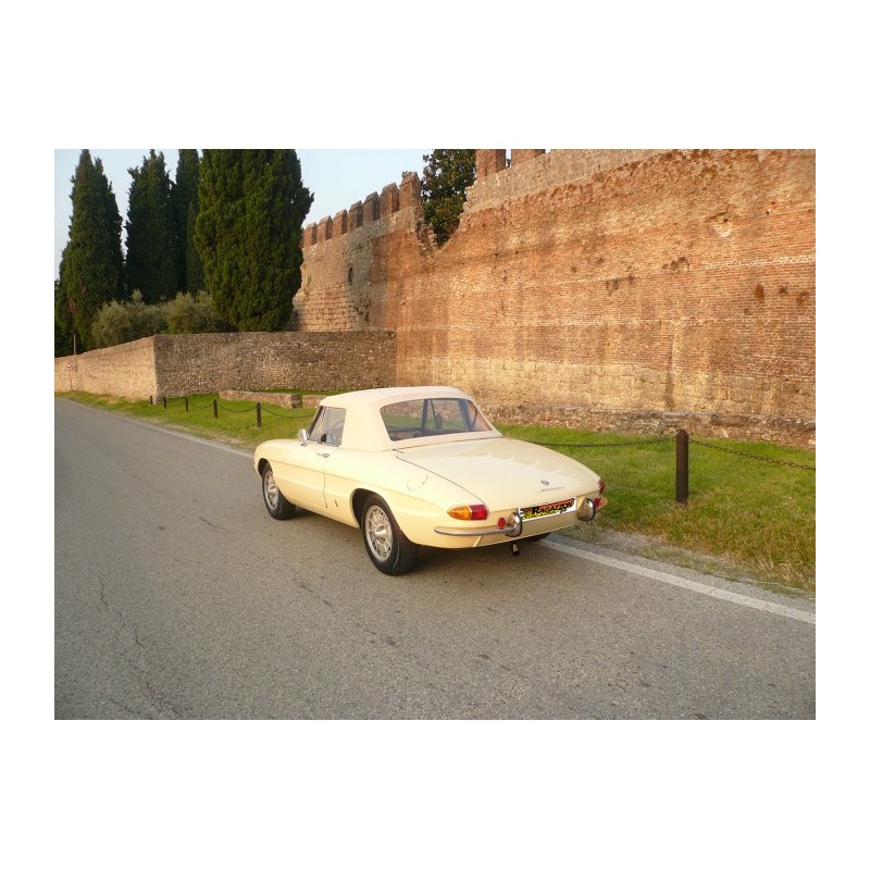 Silencieux intermédiaire en inox   Alfa Romeo  [Modèle] - [Cylindrée]