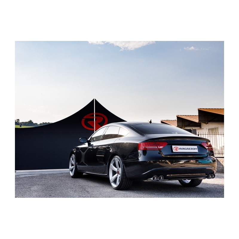 Catalyseur métallique 300cpsi groupe n
 
 Reprogrammation des modules électroniques nécessaire 